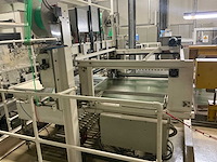 1991 stork bepak c2000 palletiseerinstallatie / palletiser - afbeelding 5 van  62