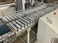 1991 stork bepak c2000 palletiseerinstallatie / palletiser - afbeelding 48 van  62