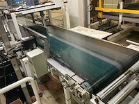 1991 stork bepak c2000 palletiseerinstallatie / palletiser - afbeelding 62 van  62