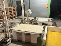 1991 stork bepak c2000 palletiseerinstallatie / palletiser - afbeelding 15 van  62
