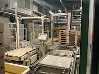 1991 stork bepak c2000 palletiseerinstallatie / palletiser - afbeelding 12 van  62