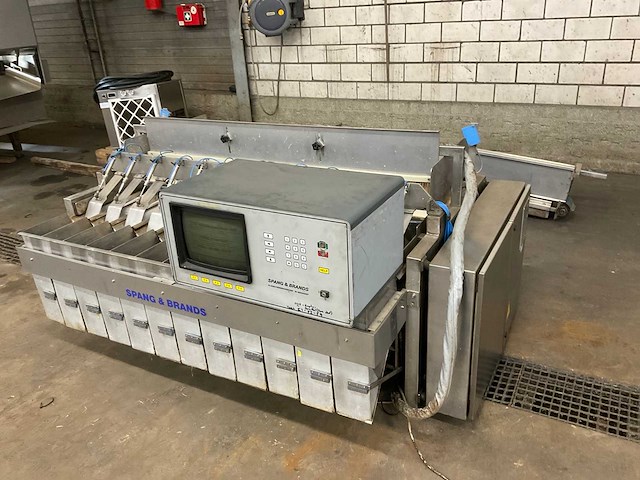 1994 spang & brands cp800/12 vm 12 kops zak weegmachine - afbeelding 1 van  12