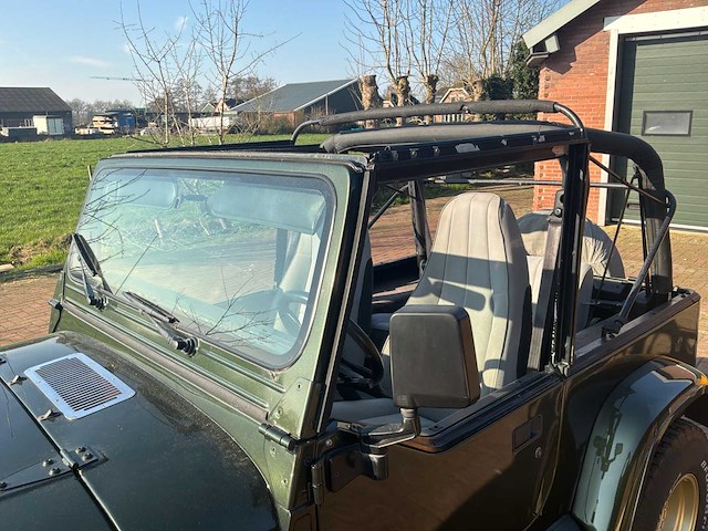 1996 jeep wrangler 2.5i softtop personenauto - afbeelding 8 van  44