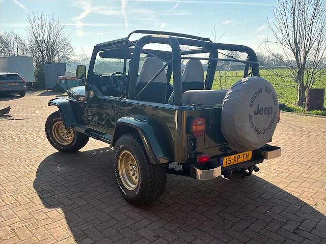 1996 jeep wrangler 2.5i softtop personenauto - afbeelding 41 van  44