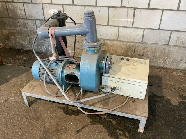 1998 goan da waterpomp - afbeelding 1 van  5