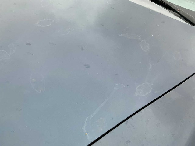 1998 porsche 911 3.4 coupé carrera - afbeelding 4 van  31