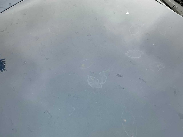 1998 porsche 911 3.4 coupé carrera - afbeelding 5 van  31