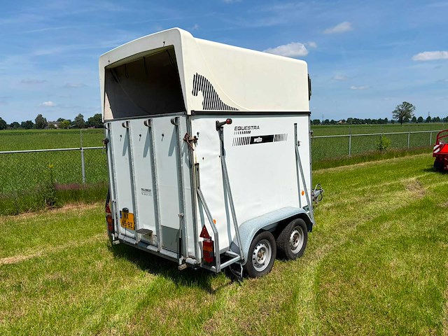 1999 wesco pvt pvt165 paardentrailer - afbeelding 4 van  9