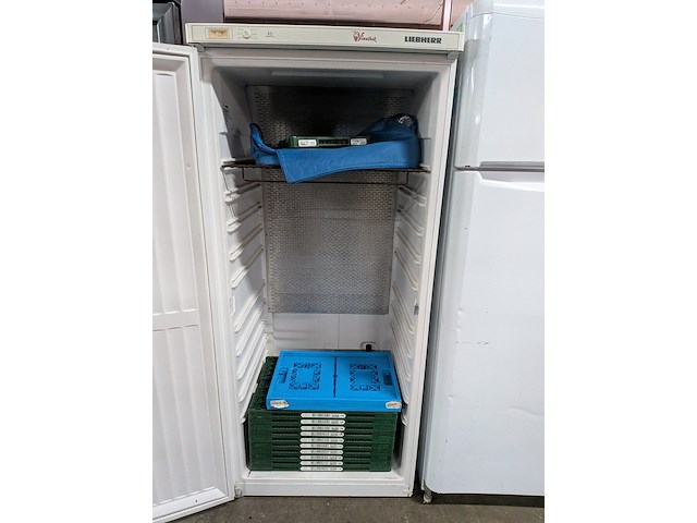 1x vriezer met 2x koel- / vriescombinatie liebherr, indesit, exquisit - afbeelding 6 van  11