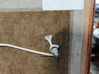 2 antieke drukken tjerkwerd aan de trekvaart nabij bolsward in friesland - afbeelding 5 van  5