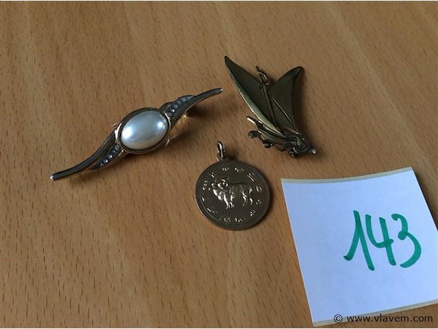 2 broches + - afbeelding 1 van  3