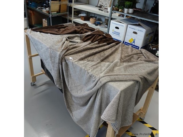 2 casa zeer zachte plaids - afbeelding 1 van  4