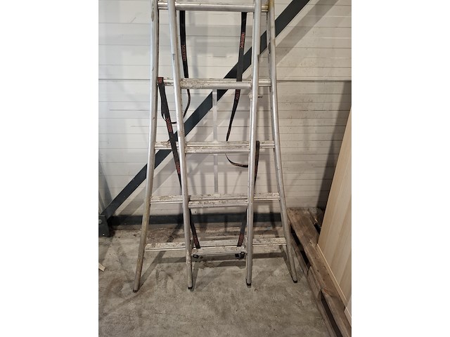 2-delige ladder altrex, 2x 12 sports - afbeelding 2 van  3