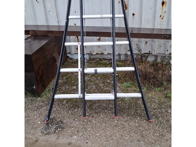 2-delige ladder altrex, 2x 12 treeds - afbeelding 2 van  5