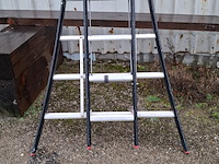 2-delige ladder altrex, 2x 12 treeds - afbeelding 2 van  5