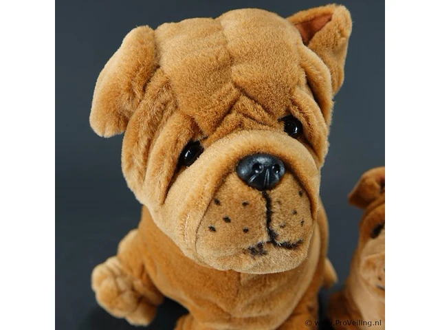 2 pluche shar-pei hond van het waarschijnlijk van het merk plush & company - afbeelding 3 van  5