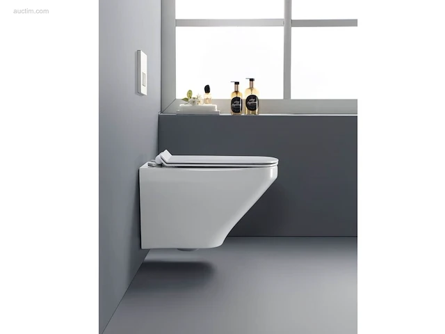 2 sets toiletten + geberit inbouwreservoirs -... - afbeelding 8 van  13
