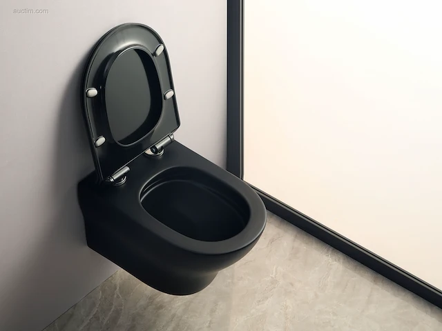2 sets toiletten + geberit inbouwreservoirs -... - afbeelding 4 van  10