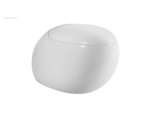 2 sets toiletten + geberit inbouwreservoirs -... - afbeelding 2 van  8