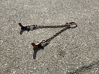 2-sprong stelconplaat hijsketting 5t - afbeelding 1 van  6