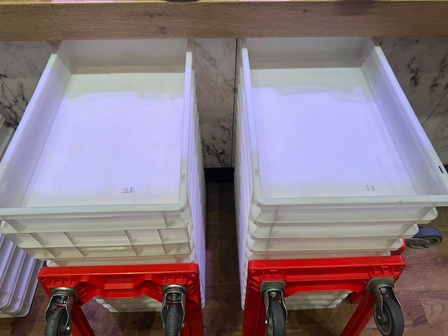 2 trolleys met 22 bakken - afbeelding 3 van  3