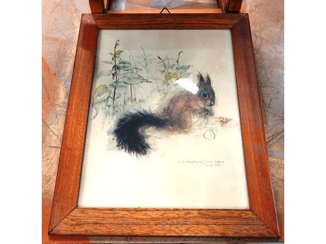 2 vintage aquarelprints van dieren van de deense kunstenaar mads stage - afbeelding 3 van  6