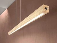 2 x led joseph s125 design pendel armatuur