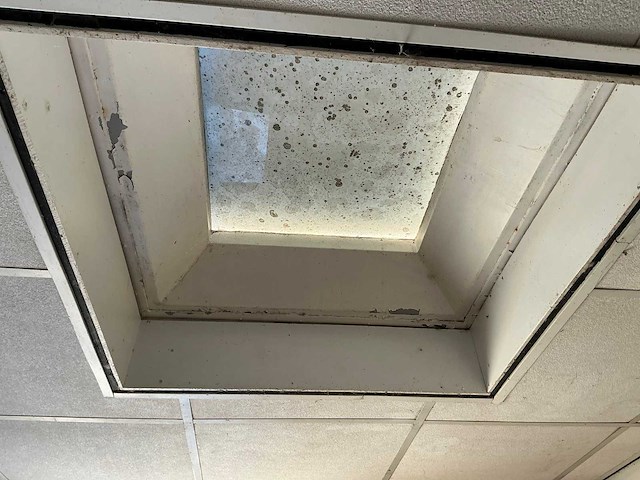 20 ft. wooncontainer - afbeelding 13 van  20