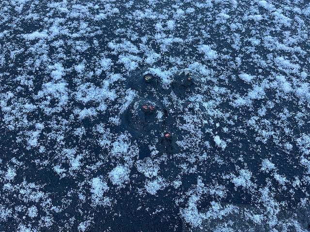 2000 cadillac de ville v8 ''the beast'' - personenauto - afbeelding 70 van  75