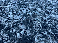 2000 cadillac de ville v8 ''the beast'' - personenauto - afbeelding 70 van  75