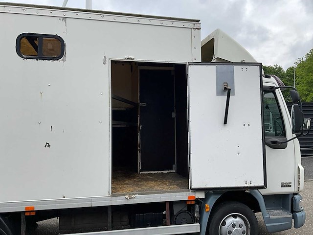 2001 daf lf45.150 paarden vrachtwagen bl-lt-23 - afbeelding 6 van  16