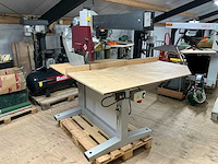 2001 harwi 624u radiaalafkortzaagmachine - afbeelding 7 van  13
