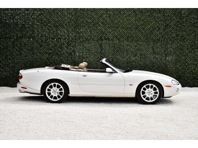2001 jaguar xkr convertible "supercharged" 4,0l v8 btw auto - afbeelding 5 van  56