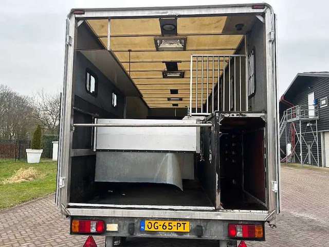 2001 kuiper 6.9 ton paardentrailer be oplegger - afbeelding 2 van  15