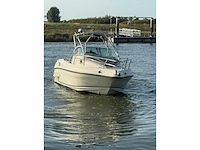 2001 rancraft rv 27 speedboot - afbeelding 11 van  18