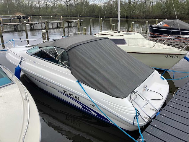 2001 sea ray 190 motorjacht met trailer - afbeelding 3 van  8