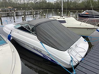 2001 sea ray 190 motorjacht met trailer - afbeelding 3 van  8