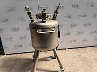 2002 - fischer - 252 l - proces-/vacuümvat - afbeelding 8 van  12
