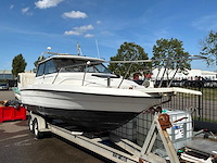 2002 bayliner profi speedboot