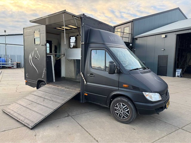 2002 mercedes-benz sprinter 903,6 p paardenwagen - afbeelding 1 van  39