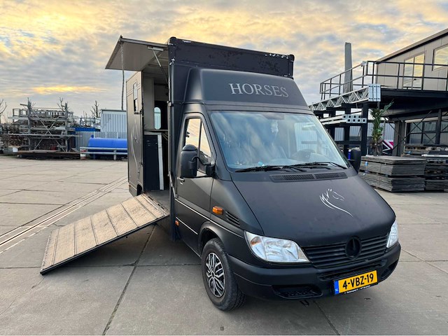 2002 mercedes-benz sprinter 903,6 p paardenwagen - afbeelding 34 van  39