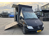 2002 mercedes-benz sprinter 903,6 p paardenwagen - afbeelding 37 van  41