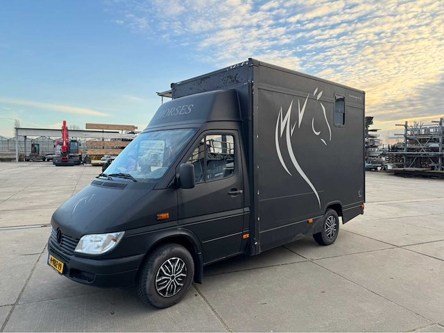 2002 mercedes-benz sprinter 903,6 p paardenwagen - afbeelding 19 van  41