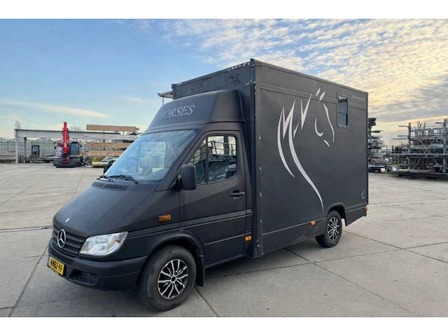 2002 mercedes-benz sprinter 903,6 p paardenwagen - afbeelding 30 van  41