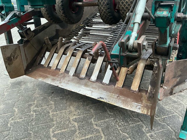 2003 botman bloembollenrooier - afbeelding 12 van  21