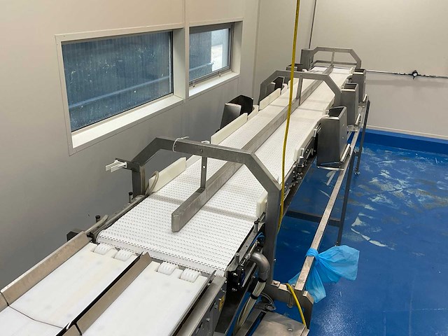 2003 marel dwu + sorteerlijn rvs industriële visweeg- en sorteerlijn - afbeelding 7 van  18
