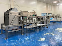 2003 marel dwu + sorteerlijn rvs industriële visweeg- en sorteerlijn