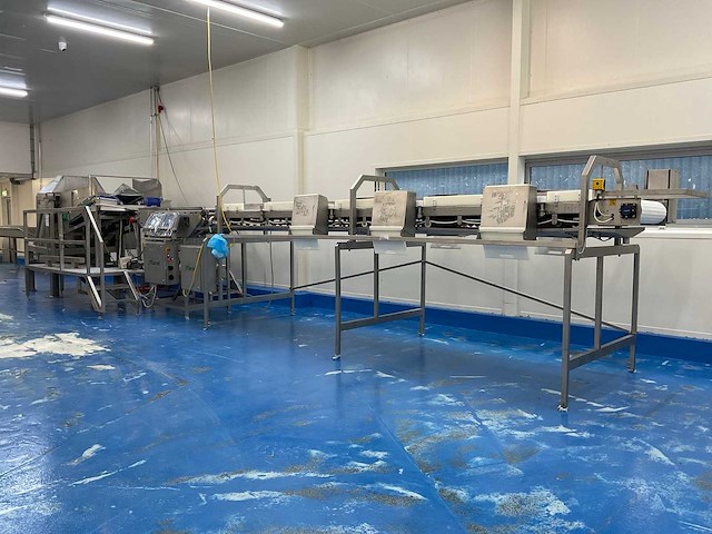 2003 marel dwu + sorteerlijn rvs industriële visweeg- en sorteerlijn - afbeelding 11 van  18