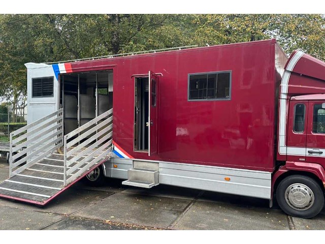 2003 volvo fl 220 zitgroep, toilet, 5 paarden 1 pony, paardenwagen - afbeelding 1 van  14