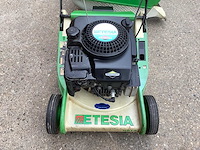 2004 etesia f-67160 grasmaaier - afbeelding 5 van  6